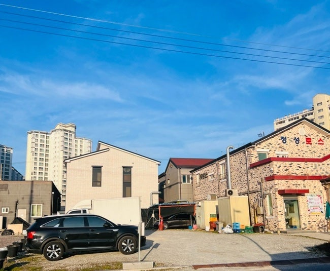 정성로스 사진 2