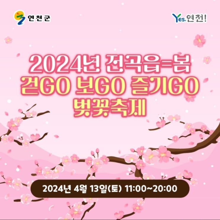  연천 벚꽃명소 경기 북부 전곡읍  봄 벚꽃축제