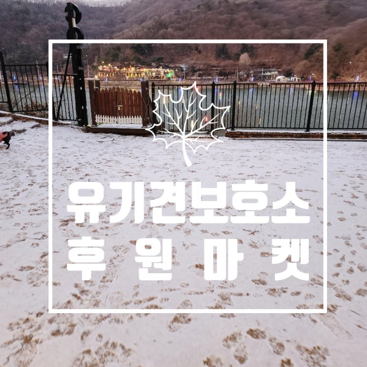 남양주 애견카페 오남개다방 유기견보호소 후원마켓 남양주 애견카페 오남개다방 유기견보호소 후원마켓