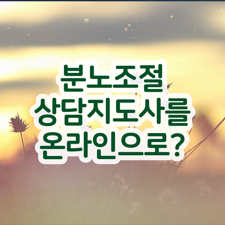 분노 조절장애치료 , 분노조절상담지도사 자격증 합격률 요점정리