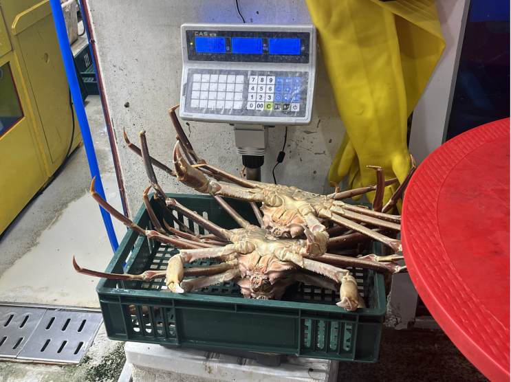  가락시장 대게 킹크랩 맛집ㅣ금성횟집+상차림식당