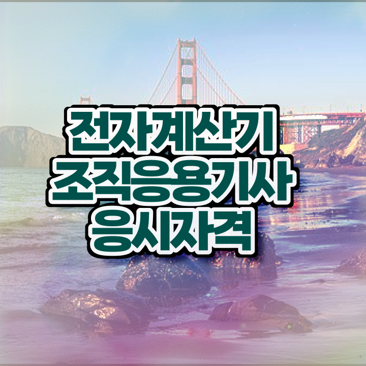  전자계산기조직응용기사 독학 전자계산기조직응용기사 자격증 취득 빠르게 갖추자
