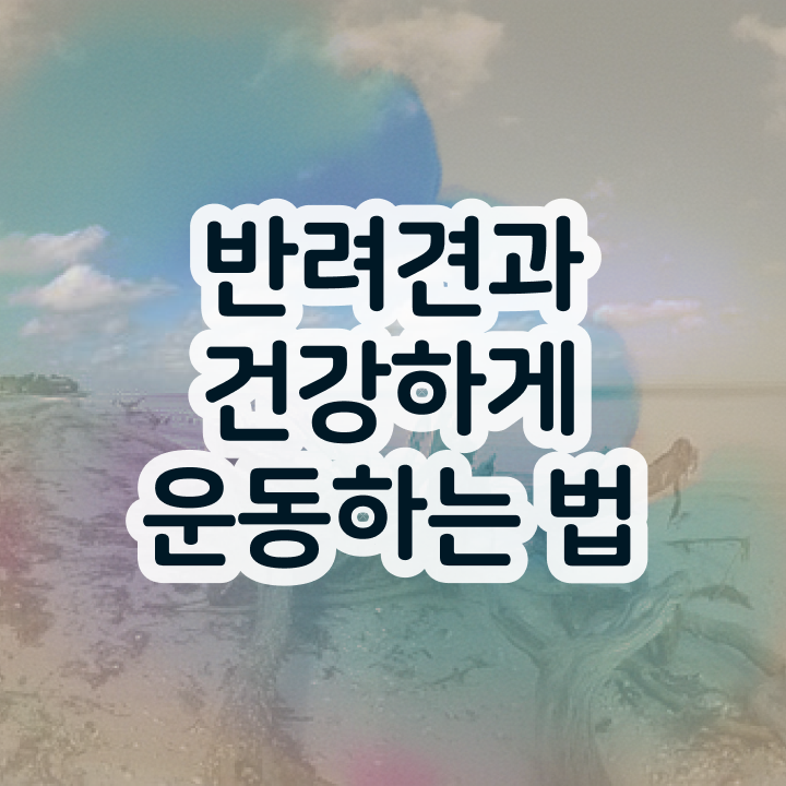  반려견운동지도사 수업 , 반려견운동지도사 자격증 한달 만에 준비해서 합격한 후기 궁금하다면