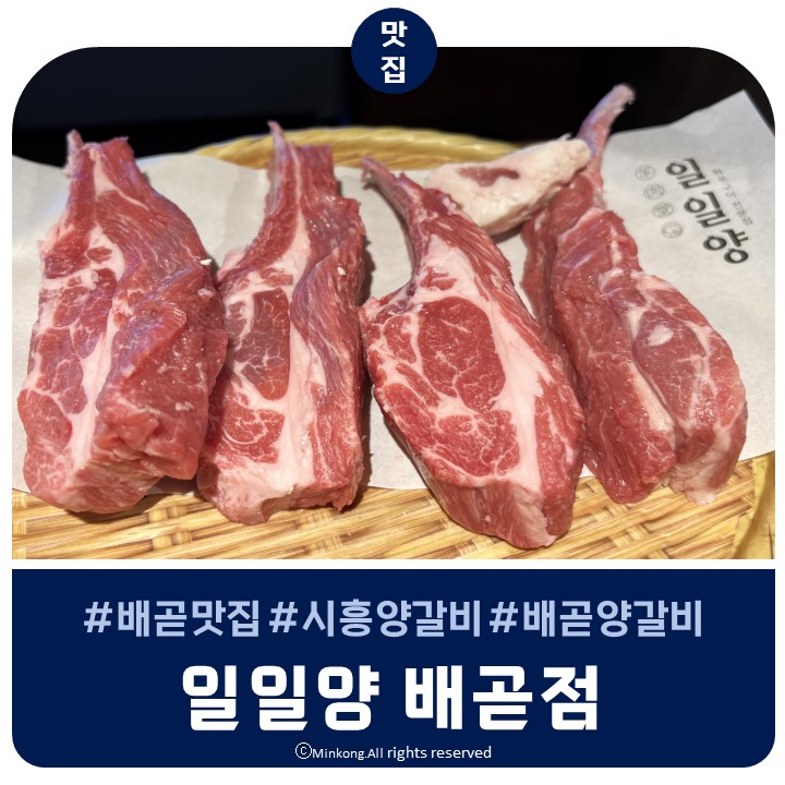  시흥 배곧 맛집 양고기 추천 :: 구워주는 양갈비집 "일일양 배곧점"