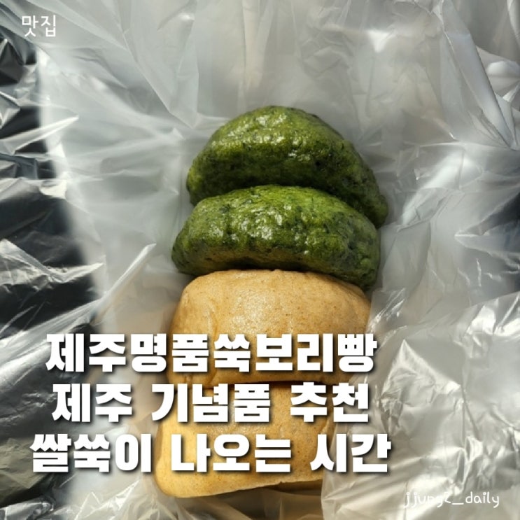  제주 선물 추천 맛집인 제주명품쑥보리빵 빵나오는 시간과 주차 솔직후기