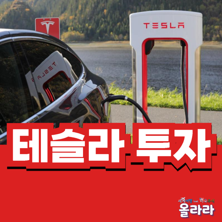  테슬라 인도량 감소 투자 추가 매수
