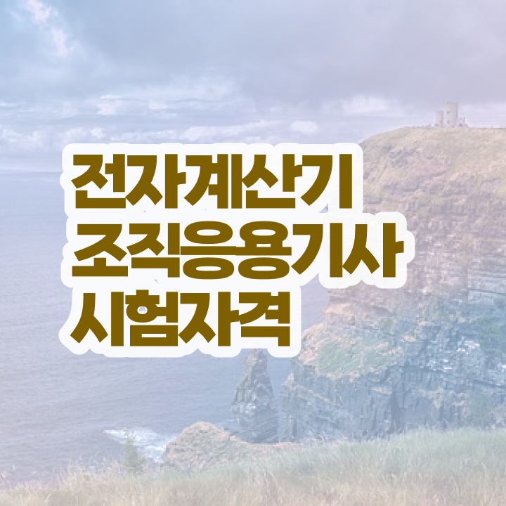  전자계산기조직응용기사 실기합격률 전자계산기조직응용기사 온라인 강의 비전공자도 합격하는 방법