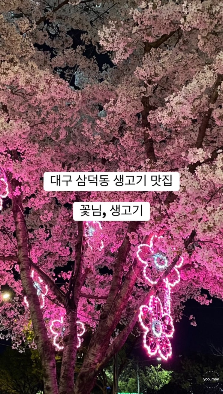  대구 삼덕동 술집 꽃님생고기 분위기 메뉴 후기