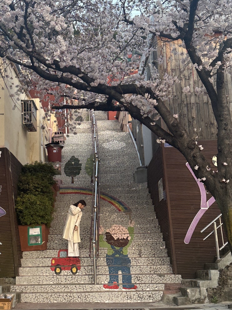  부산 4월 닥밭골 벽화마을에서 벚꽃 구경하기(지도 위치/모노레일)