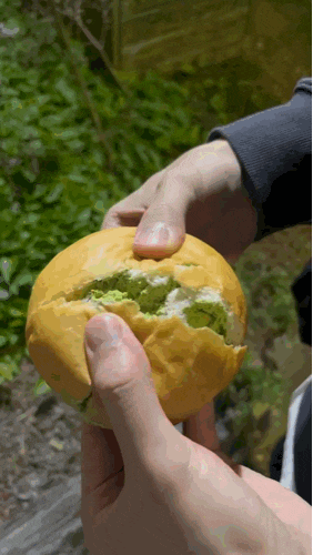  망원동 망리단길 크림빵 맛집 ㅣ 푸하하 크림빵