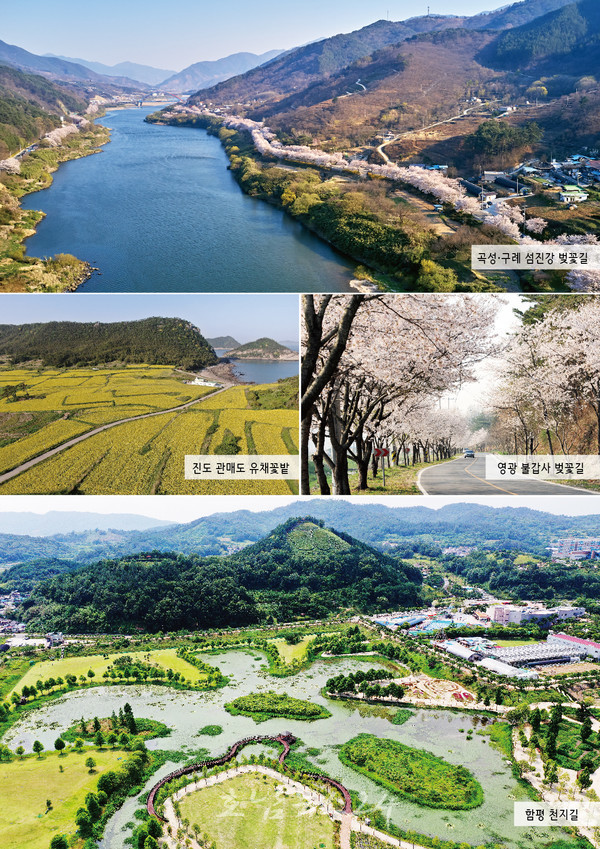  4월 완연한 봄 만끽할 남도 여행지 곡성·구례 섬진강벚꽃길, 영광 불갑사, 진도 관매도, 함평 천지길 추천