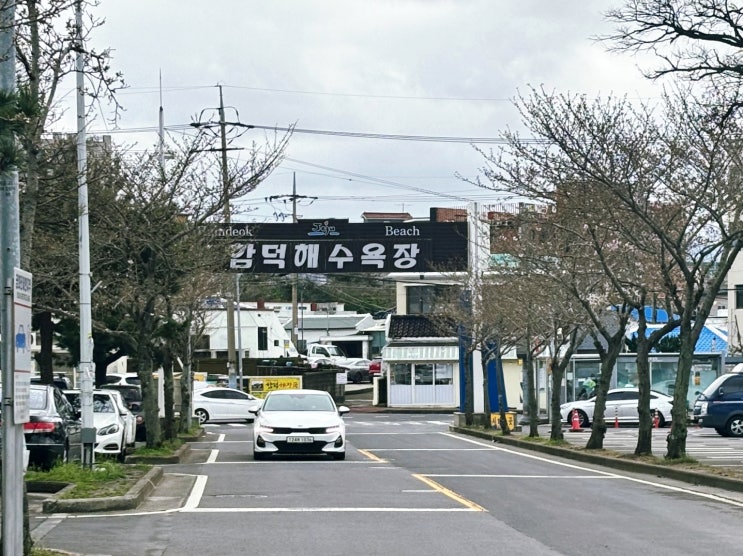  함덕해수욕장 근처 마농 바게트 맛집 오드란 베이커리