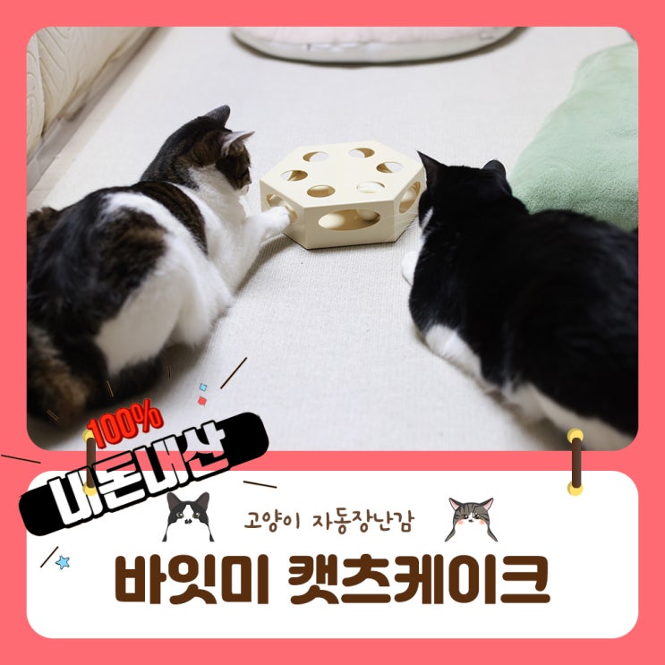 고양이자동장난감 바잇미 캣츠케이크