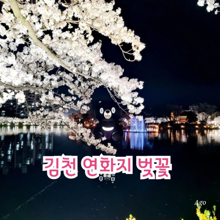  김천가볼만한곳 연화지 벚꽃축제 feat 야경맛집