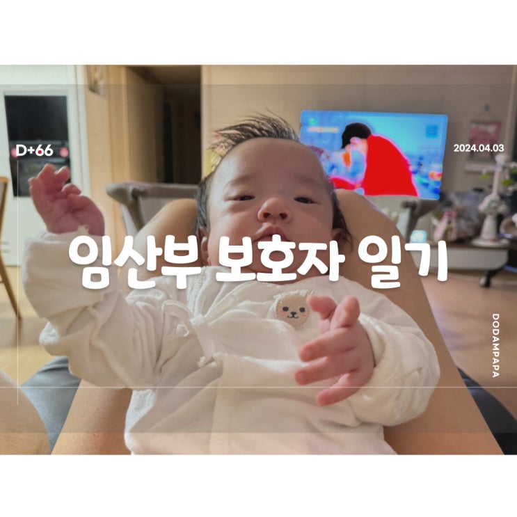 미숙아 분유거부 여전한 스테로이드 부작용 D+66일 미숙아 분유거부 여전한 스테로이드 부작용 D+66일