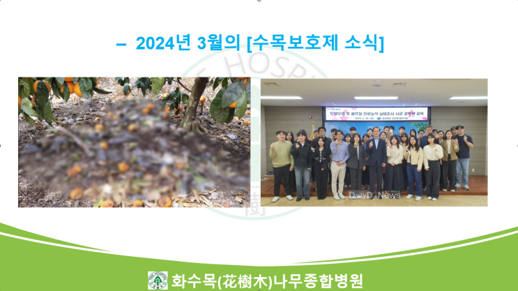  2024년 3월의 수목보호제 뉴스 모음