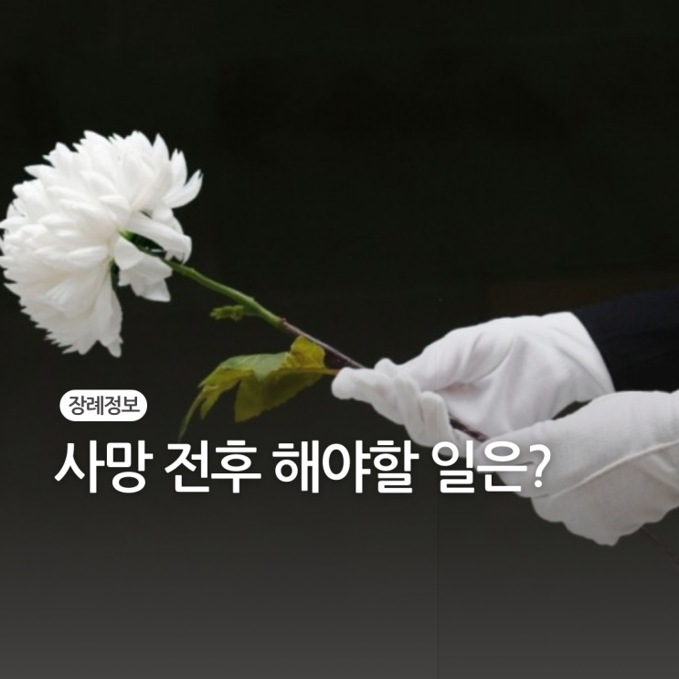 사망 전후에 해야할 일은?