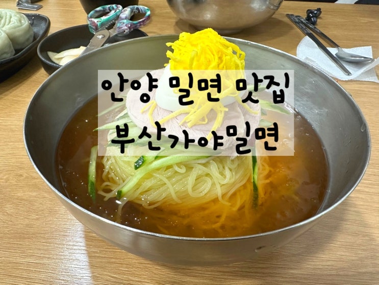  안양 밀면 맛집 지금 딱 먹기좋은 안양 현지인 맛집 부산가야밀면