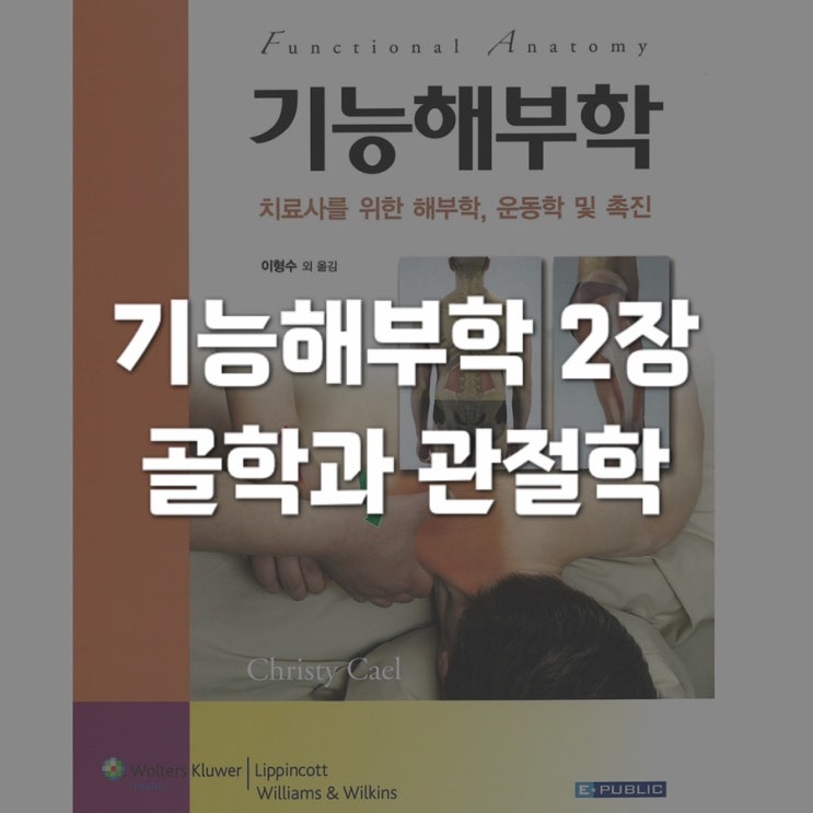  기능해부학 2장 - 골학과 관절학