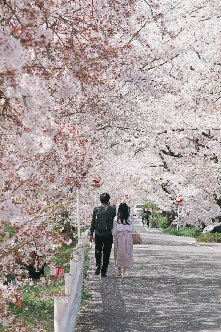  봄을 연주해요 성시경의 희재, 러브홀릭 이건 다른 얘기 자녀에게 최신폰 다해주시나요?