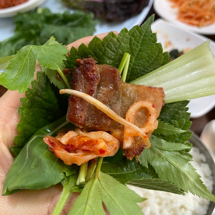  가리파 쌈밥 전문 :: 푸짐한 쌈 채소와 삼겹살이 맛있는 쌈밥 맛집 강된장는 내 원픽