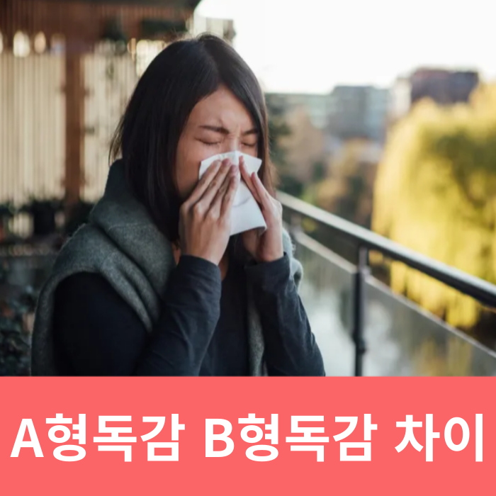  A형독감 B형독감 차이 증상 전파력 예방법 인플루엔자 독감