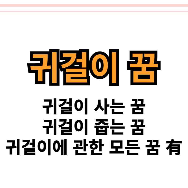 금귀걸이꿈 귀걸이선물받는꿈 귀걸이하는꿈 사는꿈 外 모든 귀걸이꿈 있어요