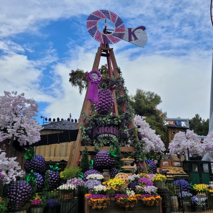  넛츠베리팜 (Knott's Berry Farm) 강추 후기 (2) ㅣ 판다 익스프레스 / 기념품 추천 / 스누피 스토어 / 미국 LA 여행