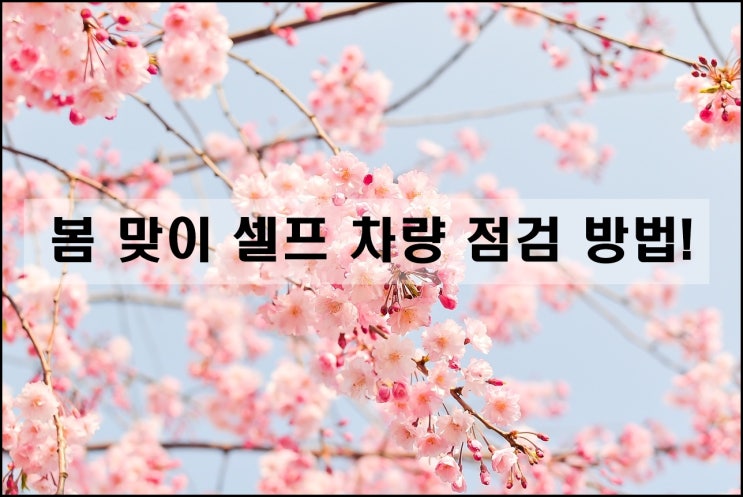 봄맞이 차량 셀프 점검하는 방법 알려드릴게요~1533b445db1f47129d2502d2b1682cbd
