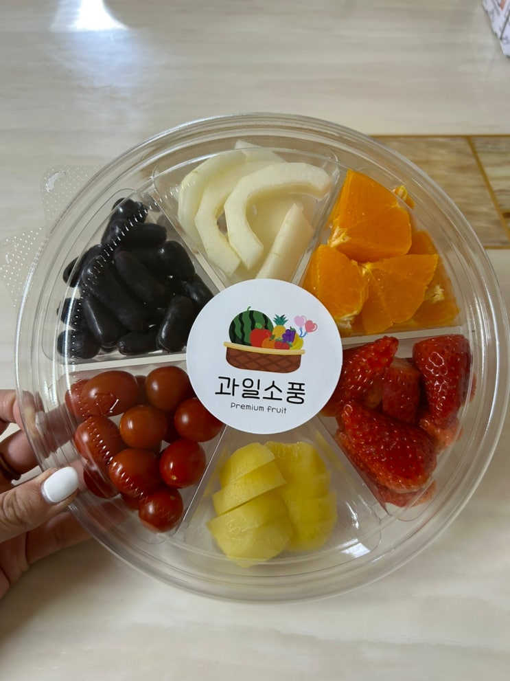  [창원/마산] 간편한 과일도시락, 선물세트로 추천한 달콤한 창원과일바구니 “과일소풍”