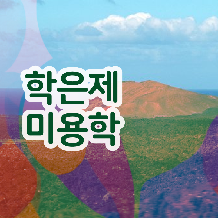  미용자격증 후기 , 종합미용면허증 , 인기있는 이유 정보 , 향후 전망 핵심 정보