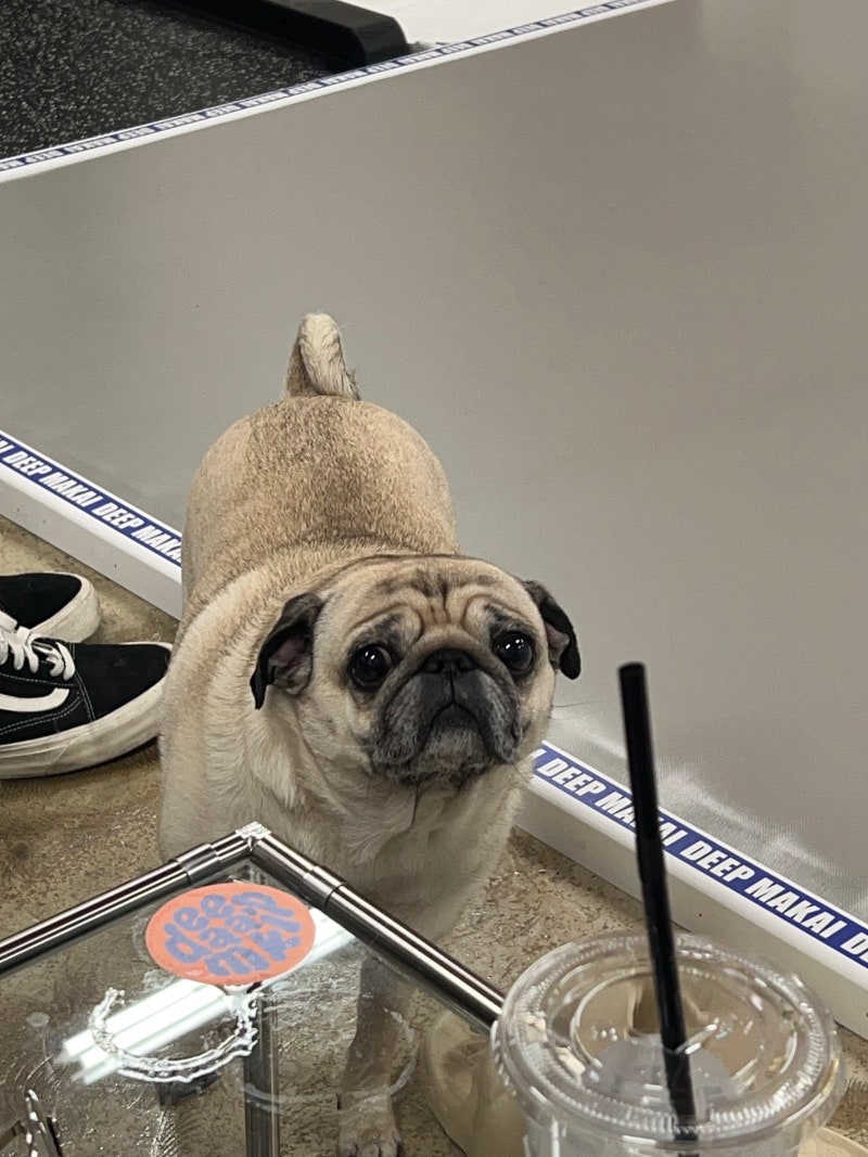 김진희 (@genietwinklestar) • Threads, Say more, image size:800x1067