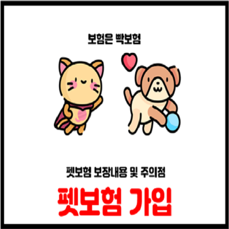  펫보험 가입시 보장 및 주의점 확인하세요