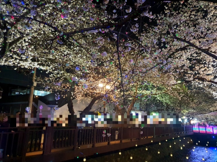  로망스다리 벚꽃명소 진해 여좌천 여행 가볼만한곳