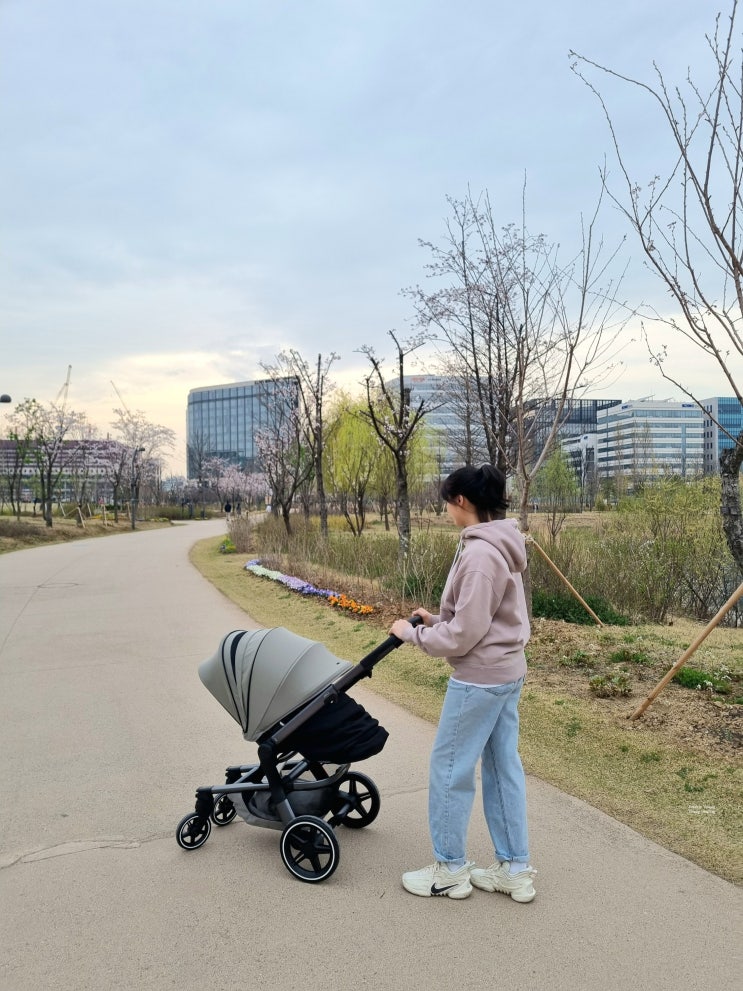  내돈내산 줄즈 허브플러스 영통베이비하우스에서 비대면 주문! 세이지그린 블랙코쿤 절충형유모차추천