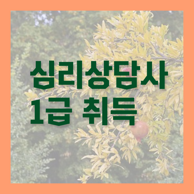  한국심리상담 , 심리상담사 자격증 학습 및 합격 과정 핵심 공개
