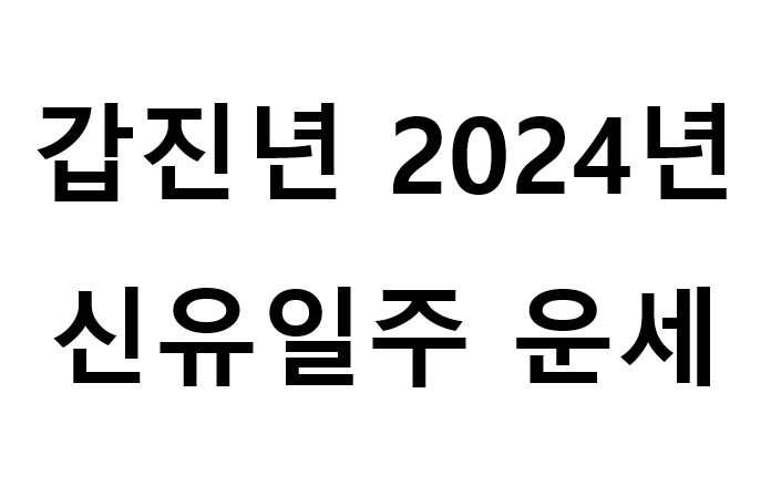  갑진년 2024년 신유일주 운세