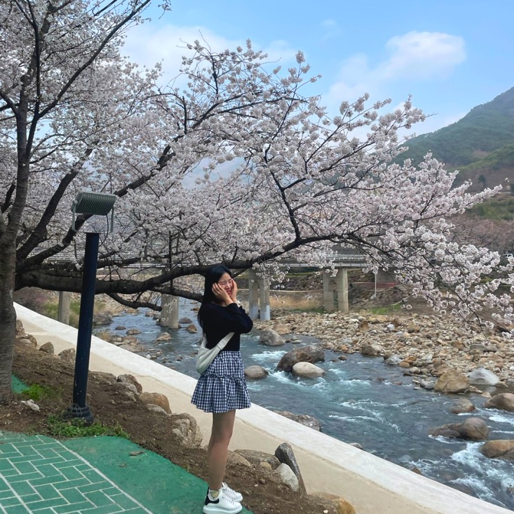 하동벚꽃축제후기/하동여행선물추천:밤톨/2024년 봄 일상
