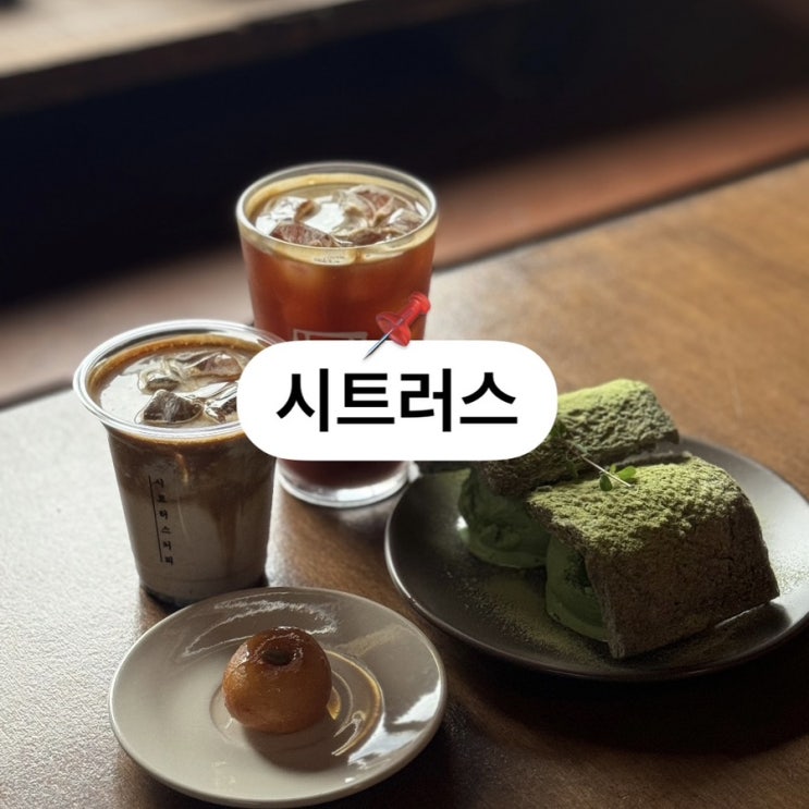  비 오는 날 가기 좋은, 익산 모현동 카페 시트러스 주택개조 개성주악 고양이