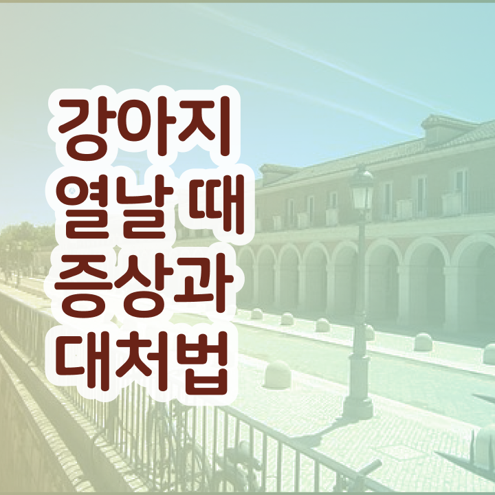 서울 반려동물의료비지원 , 반려동물관리사 자격증 1급,2급 동시에 공부하고 취득한 방법 최신정보 공유