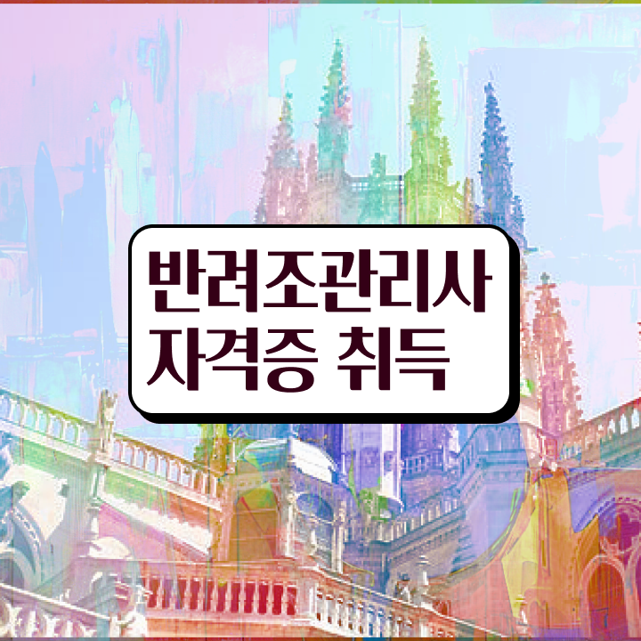  왕관앵무새분양 , 반려조관리사 자격증 활용 방법과 전망 알려드립니다