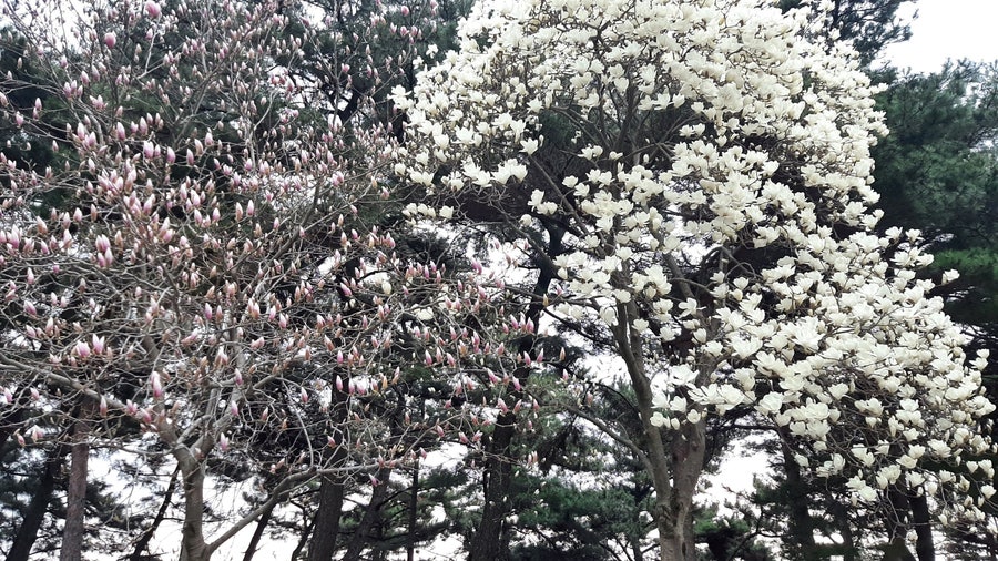 아구세상 서산점 사진 2