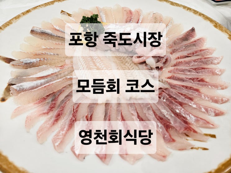  포항 죽도시장 다양하고 싱싱한 해산물 밑반찬 과 회가 나오는 모듬회 코스요리 물회 매운탕 맛집 영천회식당