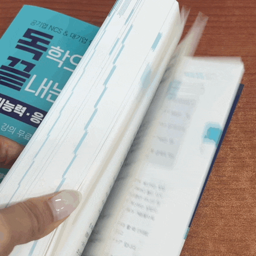 ncs 필기 시험) 독학으로 끝내는 응용수리 500제 추천 ncs 필기 시험) 독학으로 끝내는 응용수리 500제 추천