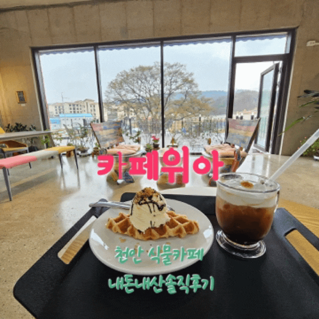  카페위아 충남천안대형식물카페 내돈내산솔직후기