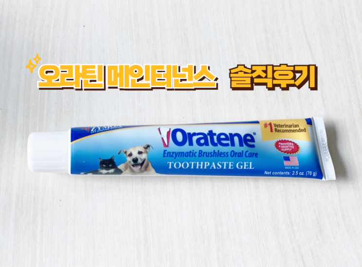  고양이 치약 추천 오라틴 메인터넌스 솔직후기