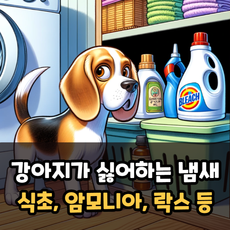  강아지가 싫어하는 냄새(식초, 암모니아, 에탄올, 알코올 등)