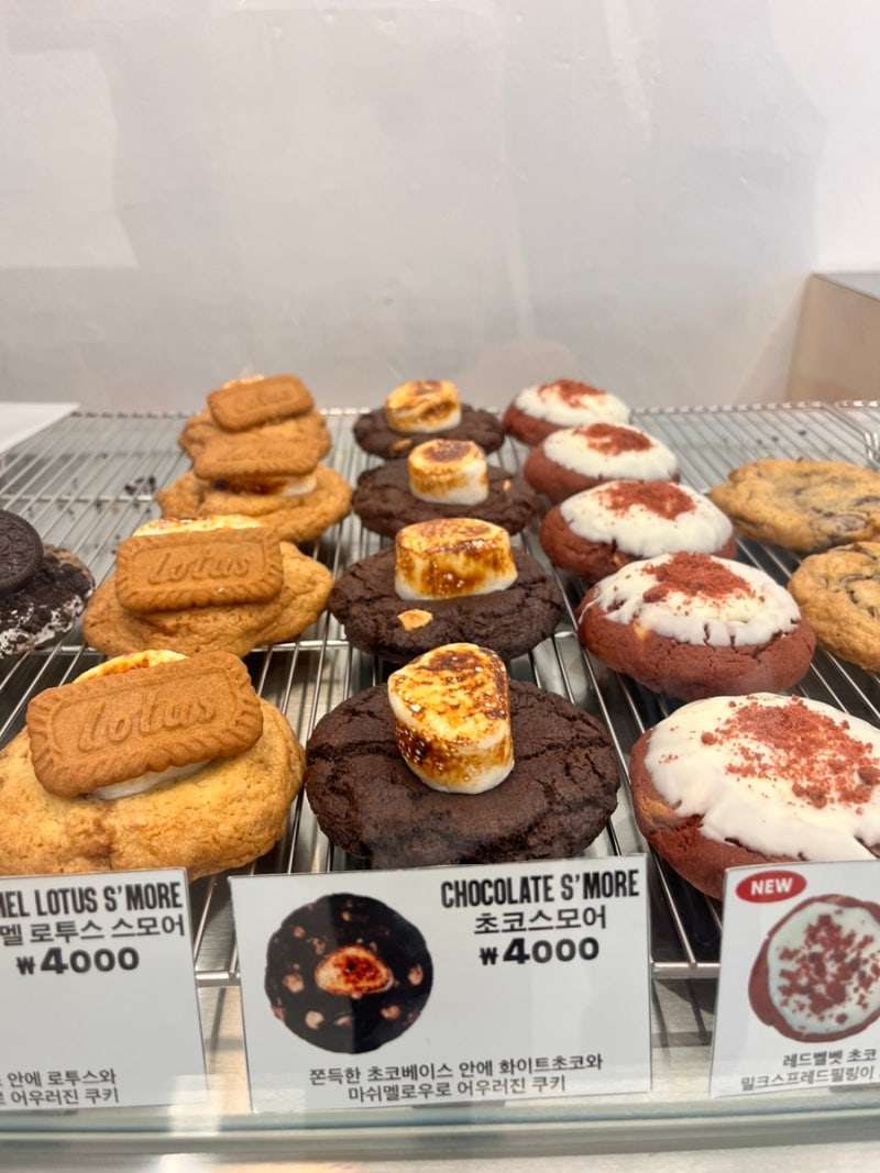 퍼니 걸' 스타 비니 펠드스타인, 쇼 계속 빠져서 언더스터디 줄리 벤코에게 깜짝 쇼케이스 기회 줘 : r/Broadway, image size:800x1067