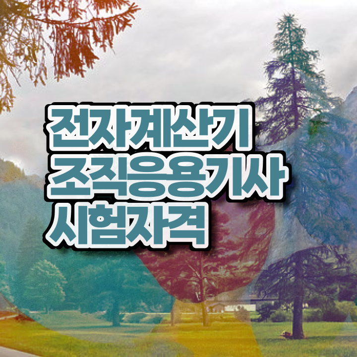  전자계산기조직응용기사 합격률 전자계산기조직응용기사 자격증 취득 이렇게 하세요