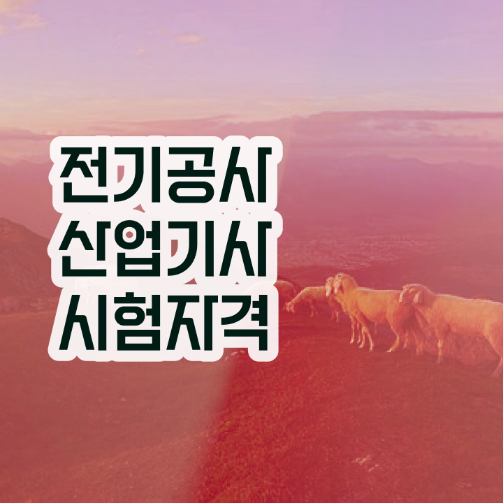  전기공사산업기사 자격 전기공사산업기사 자격증 취득 1학기도 안걸렸어요